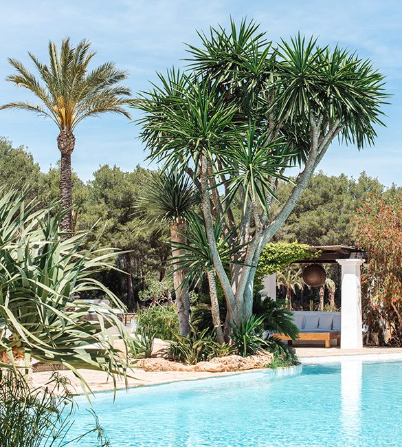 Agroturismo Swimming Pool Ibiza